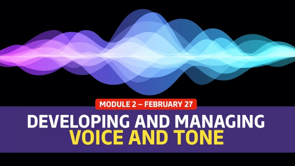 02.02 /February 27 — Module 2 — Developing and Managing Voice and Tone